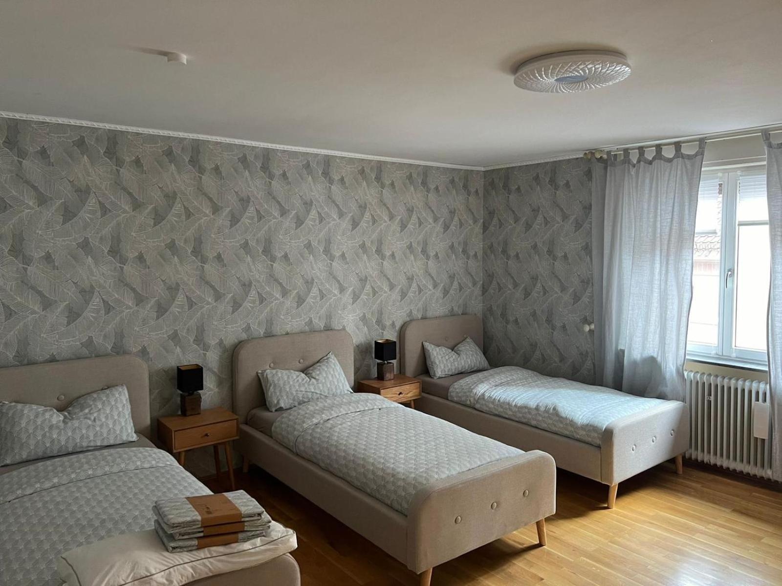 Albert-Schulte-Park Apartment- וורמס מראה חיצוני תמונה